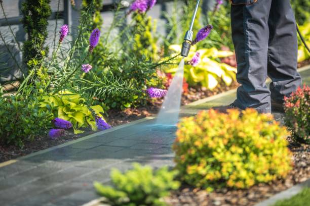 Best Roof Washing  in Spring Valley, NY